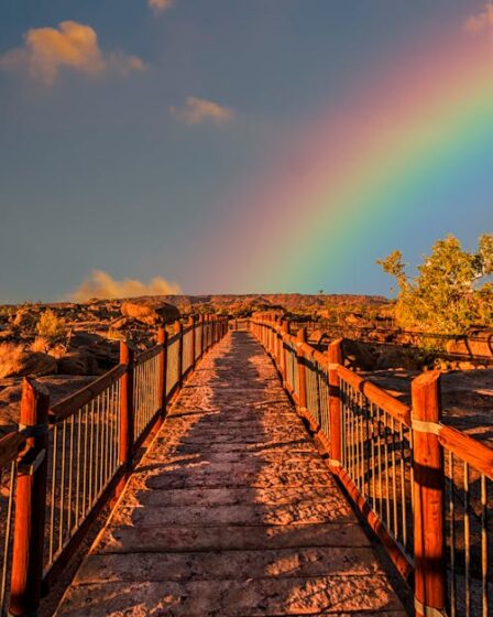 playht est une plateforme avancée de synthèse vocale qui transforme le texte en audio naturel et convaincant, idéale pour les créateurs de contenu et les professionnels.