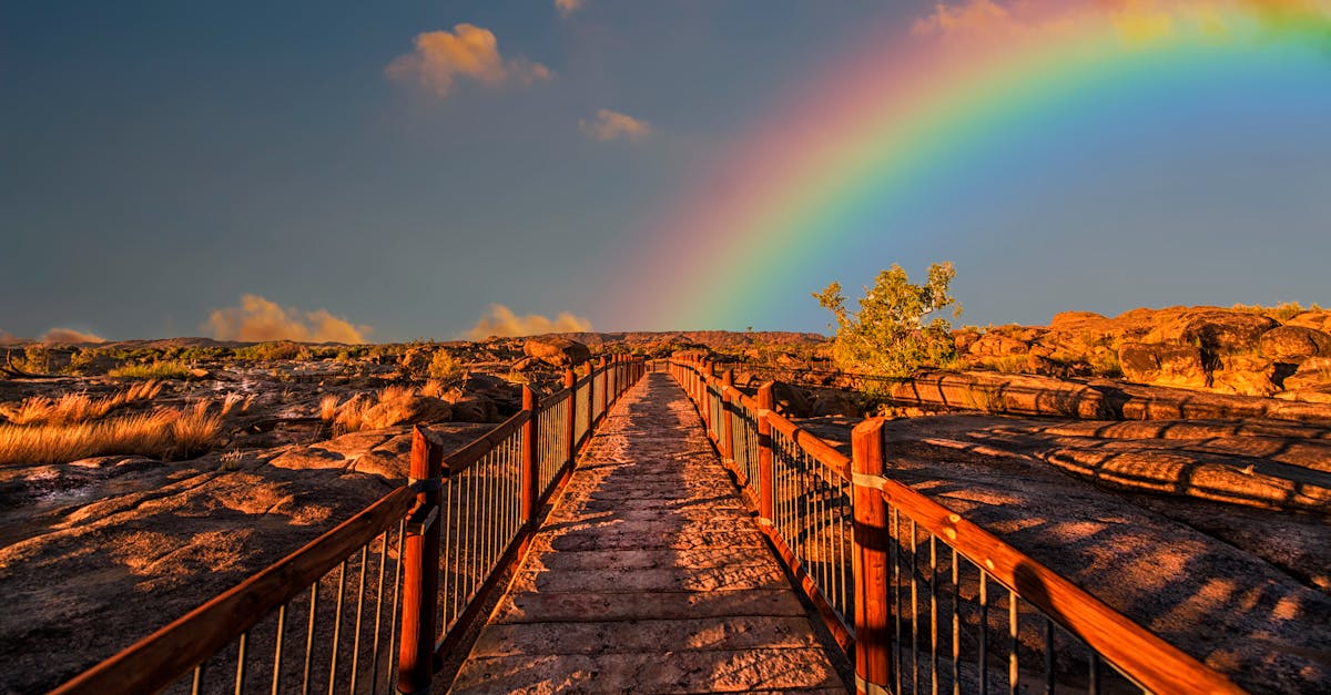 playht est une plateforme avancée de synthèse vocale qui transforme le texte en audio naturel et convaincant, idéale pour les créateurs de contenu et les professionnels.