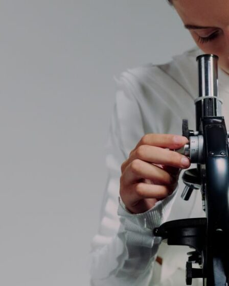 Recherche et intelligence artificielle, illustration pour le brief IA